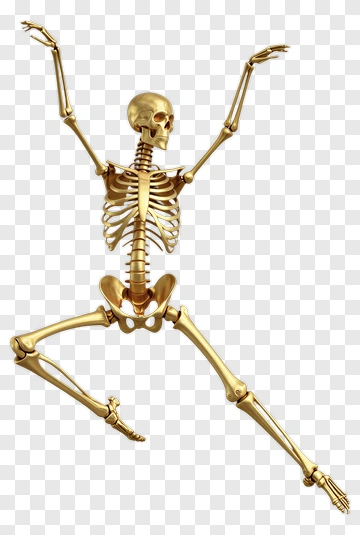 Golden Skeleton PNG