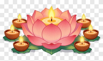 Pink Lotus Flower With Candles PNG