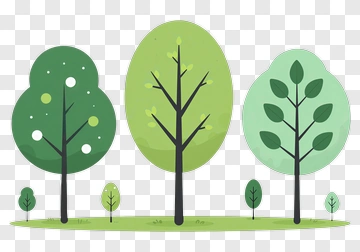 Three Stylized Trees In A Row PNG