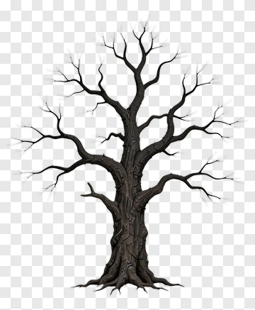 Bare Tree With Twisted Branches PNG
