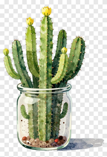Cactus In Glass Jar With Yellow Flower PNG