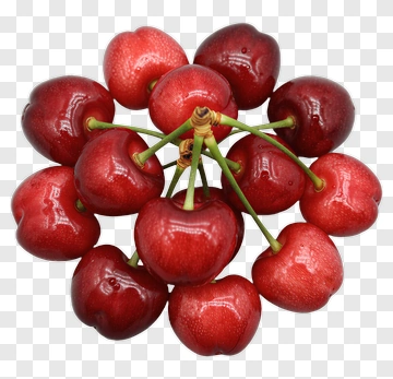 Cluster Of Fresh Cherries PNG