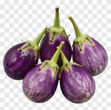 Fresh Eggplant PNG