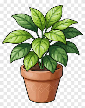 Potted Leafy Plant PNG