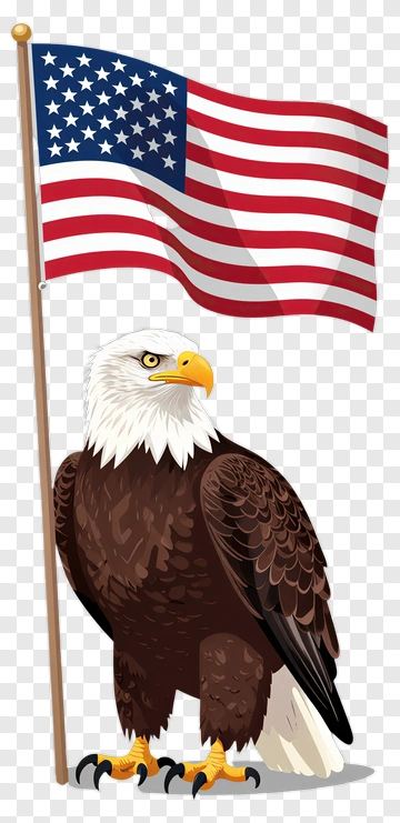 Bald Eagle Holding American Flag PNG