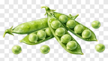 Fresh Green Pea Pods And Peas PNG