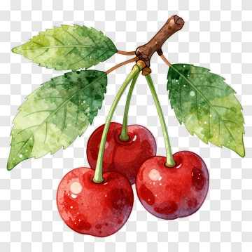 Watercolor Cherry With Leaves PNG