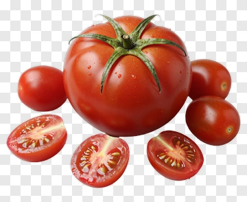 Fresh Tomatoes With Green Stems PNG