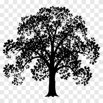 Black Tree Silhouette PNG
