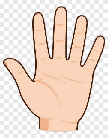Open Hand PNG