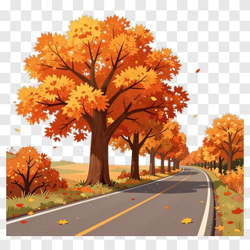 Autumn Trees Lining A Road PNG