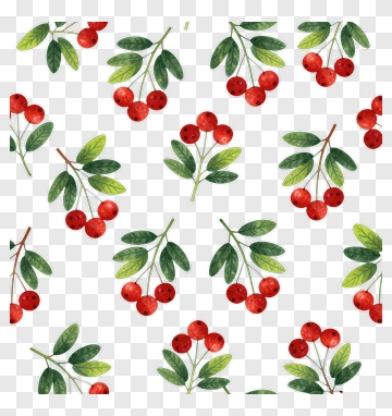 Watercolor Berry And Leaf Pattern PNG