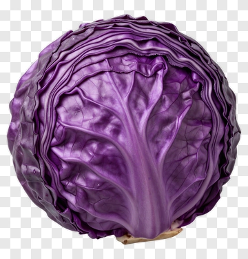 Red Cabbage PNG