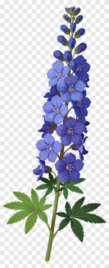 Blue Delphinium Flower With Green Leaves PNG