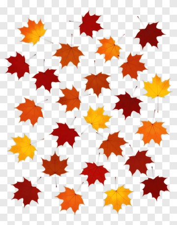 Fall Leaves Pattern PNG