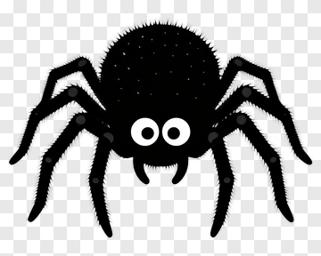 Black Spider With Big Eyes PNG