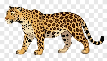 Cartoon Leopard PNG