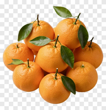 Fresh Oranges With Green Leaves PNG