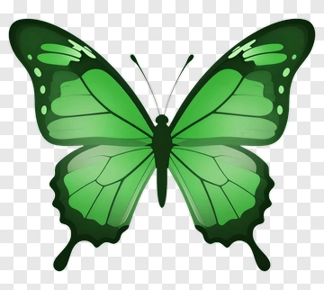 Green Butterfly PNG