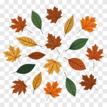 Autumn Leaves In Circular Pattern PNG