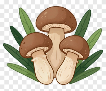 Three Mushrooms With Green Leaves PNG