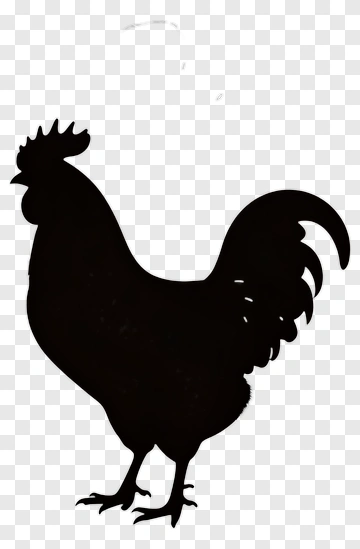 Black Rooster Silhouette PNG