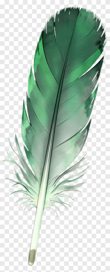 Green Feather Illustration PNG