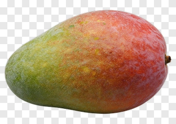 Ripe Mango With Red And Green Skin PNG