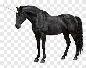 Black Unicorn With White Horn PNG