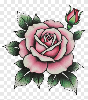 Pink Rose With Bud And Leaves PNG