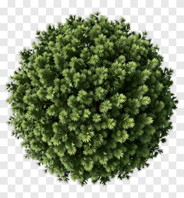 Topiary Ball PNG