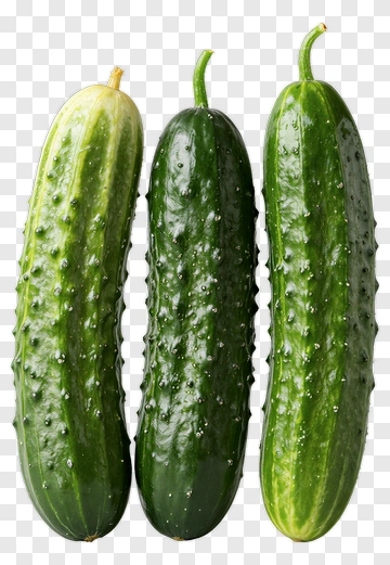 Three Fresh Cucumbers PNG