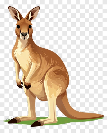 Kangaroo PNG
