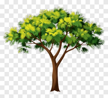 Cartoon Tree With Green And Yellow Leaves PNG