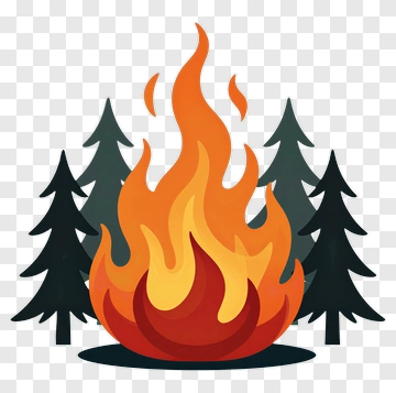 Campfire In The Forest PNG