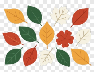 Autumn Leaf Collection PNG