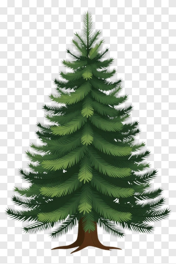 Pine Tree PNG