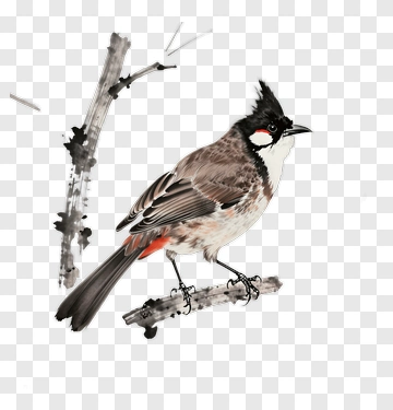 Bird Perched On Branch PNG