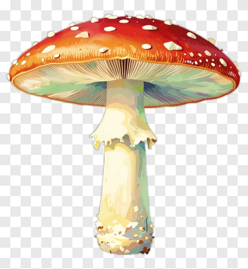 Fly Agaric Mushroom PNG