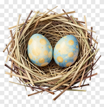 Blue And Yellow Eggs In A Nest PNG