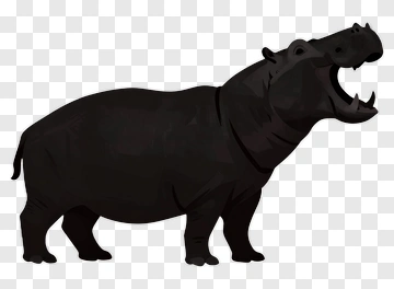 Black Hippopotamus PNG