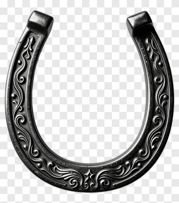 Horseshoe PNG