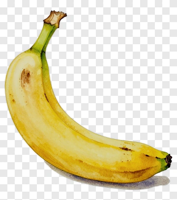 Watercolor Banana Illustration PNG