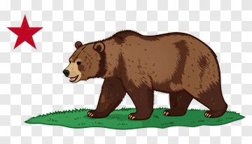 Bear With Red Star On Grass PNG