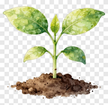 Watercolor Seedling Growing In Soil PNG