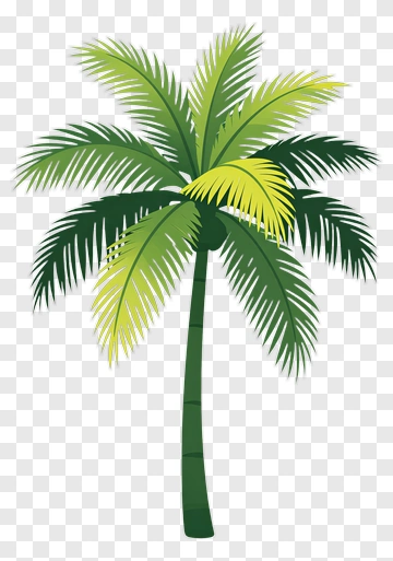 Palm Tree PNG