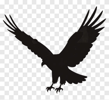 Black Eagle Silhouette PNG