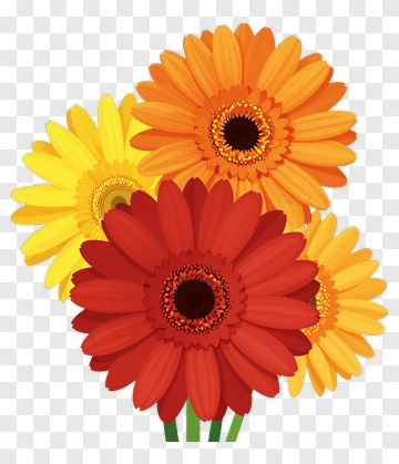 Colorful Gerbera Daisy Bouquet PNG