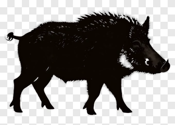 Wild Boar Silhouette PNG