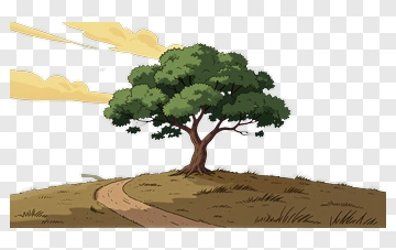 Lonely Tree On Hill PNG